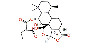 Aplyroseol 6